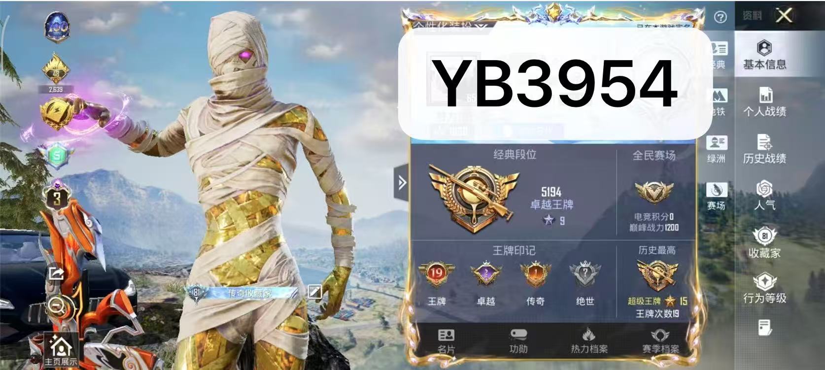 和平精英账号安卓QQ安卓手Q-19王牌印记-1红装-14粉装-16特效枪-1载具-热力值-191套装-297枪皮-2卓越