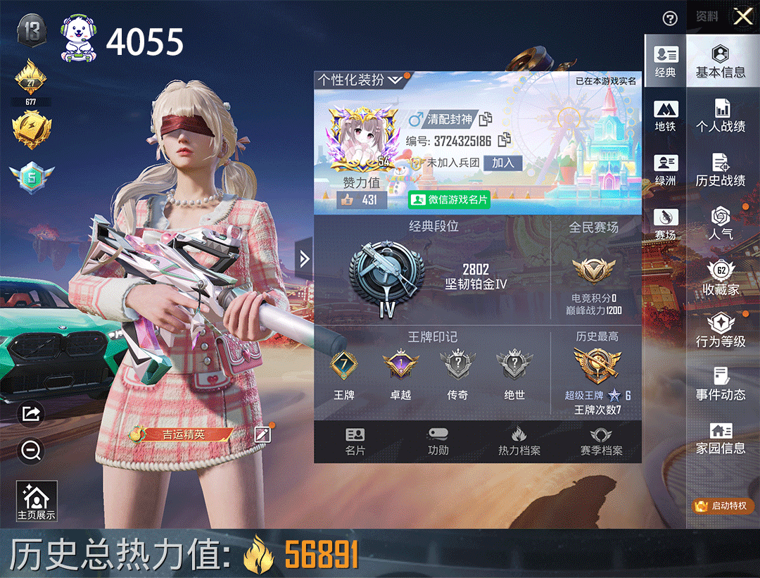 和平精英账号苹果微信1载具-117套装-193枪皮-1车6粉7枪绿宝马第五大道莲影青波哥特炫光之旅AUG-暖羊咩咩/5级