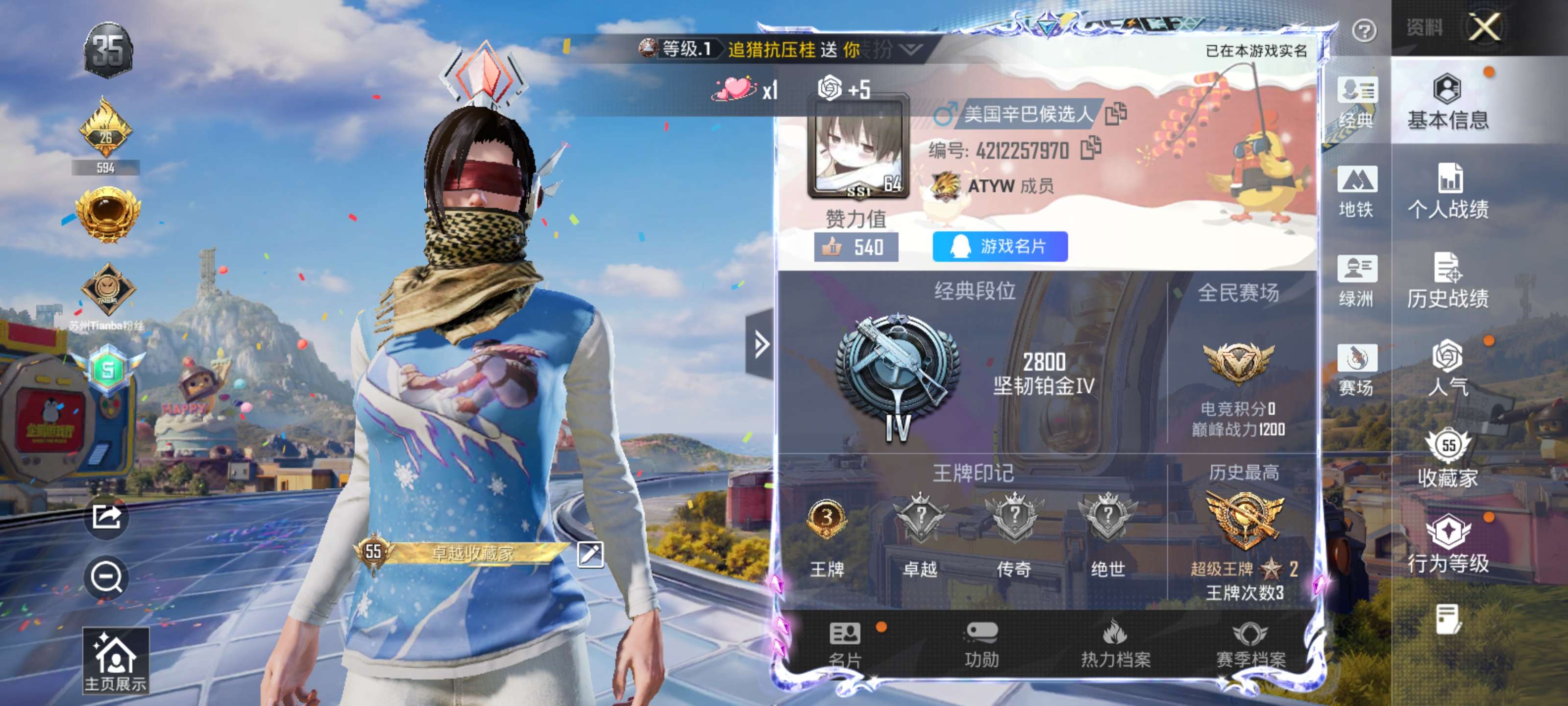 大图