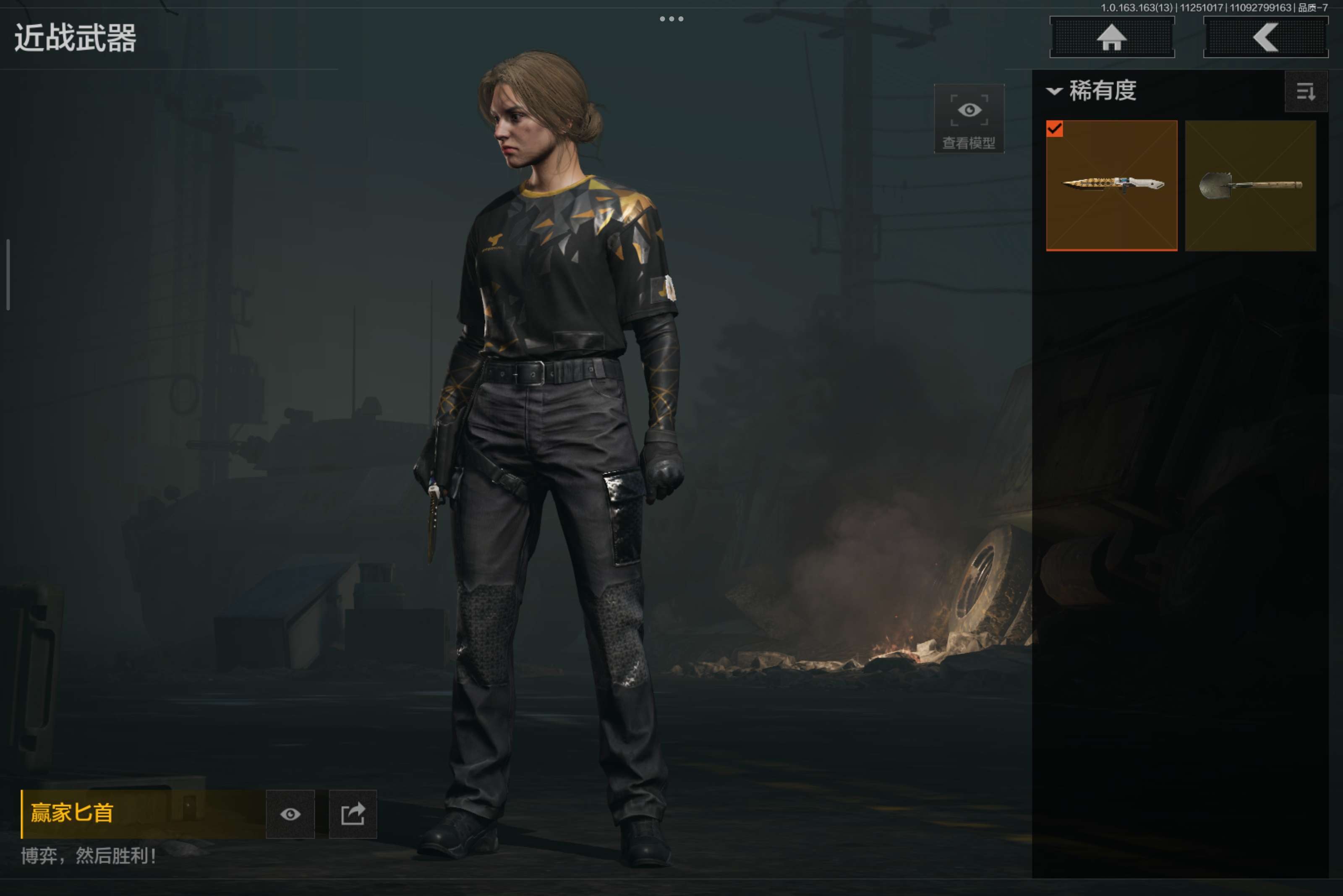 AQCMW314511暗区突围账号详情图5