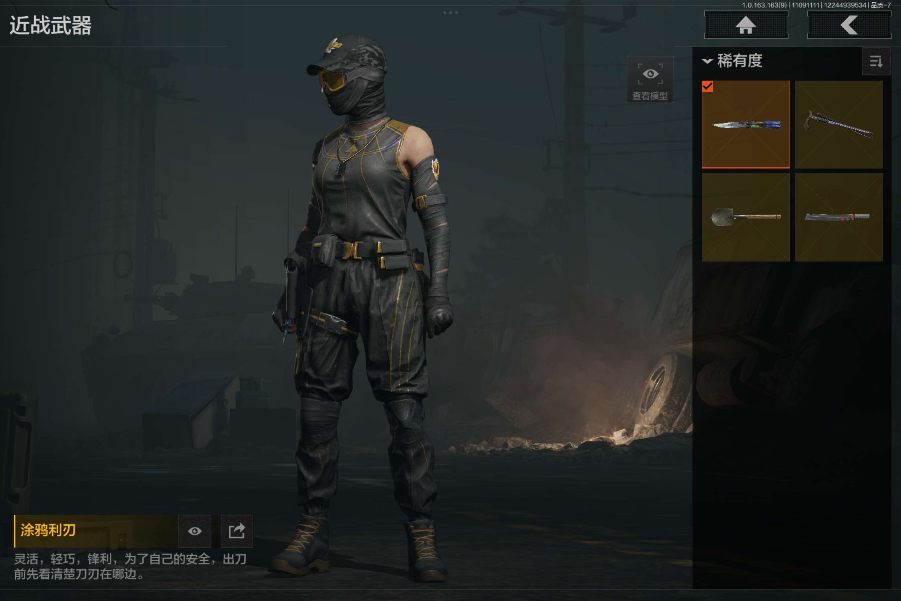 AQCMW312677暗区突围账号详情图6