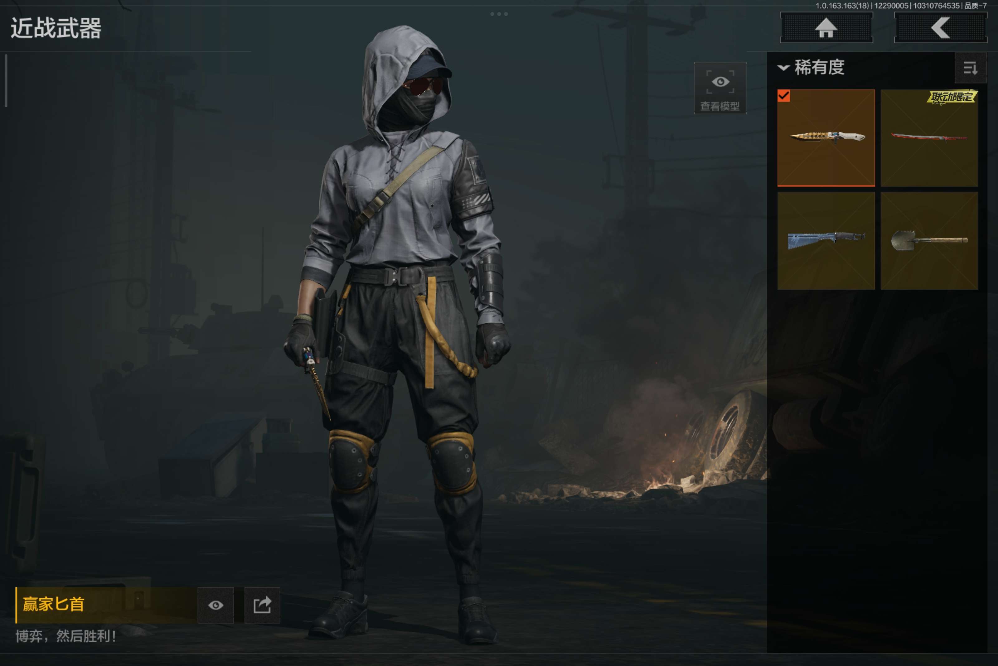 AQCMW321631暗区突围账号详情图2