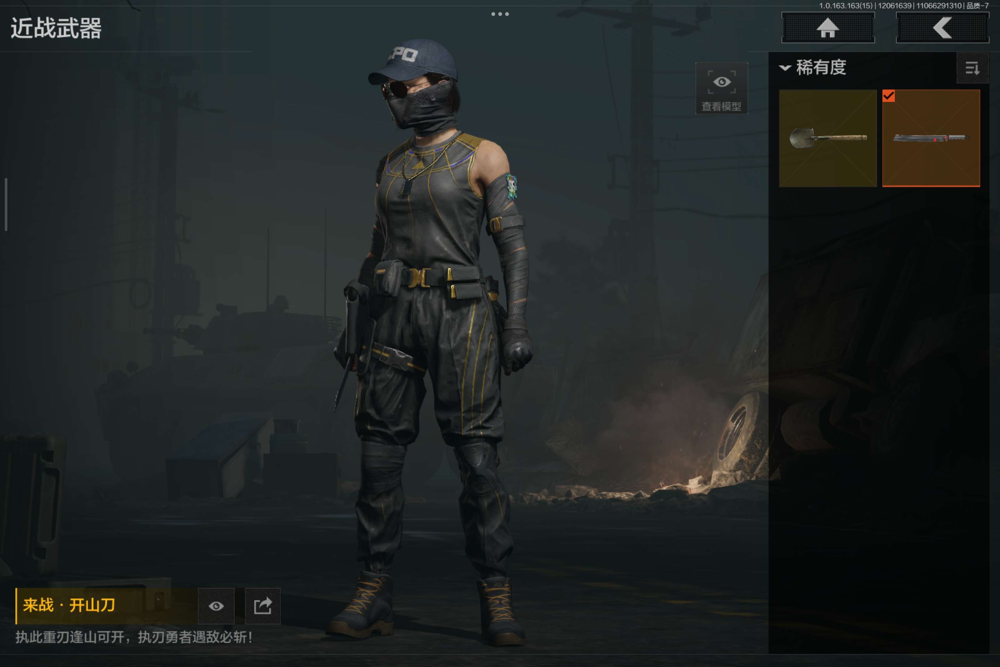 AQCMW316289暗区突围账号详情图3