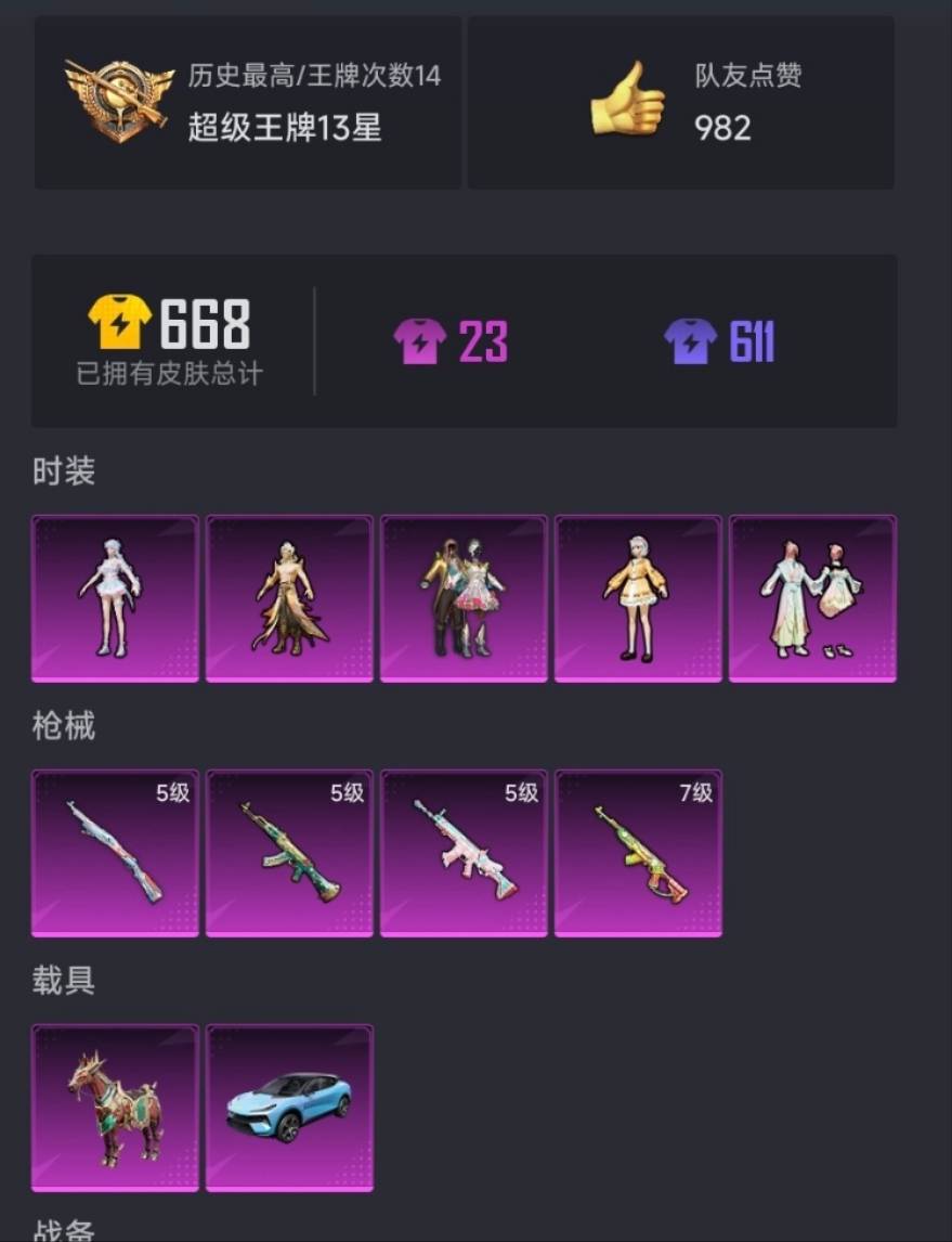 HPCMW3303701和平精英账号详情图2 HPCMW3303701和平精英账号详情图2