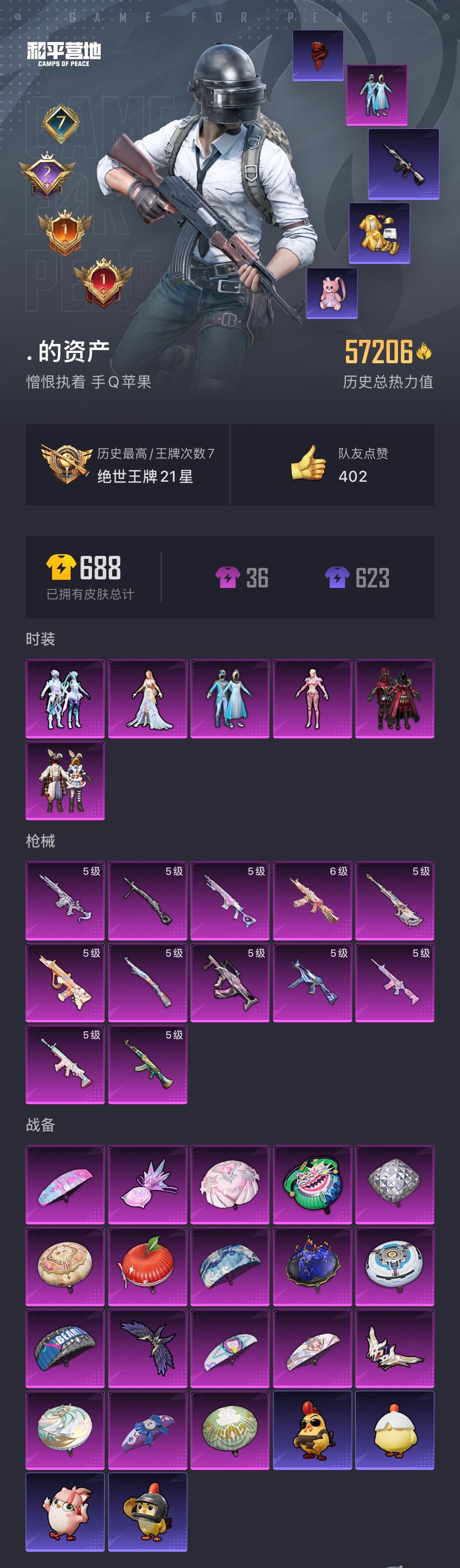 HPCMW48483和平精英账号详情图19