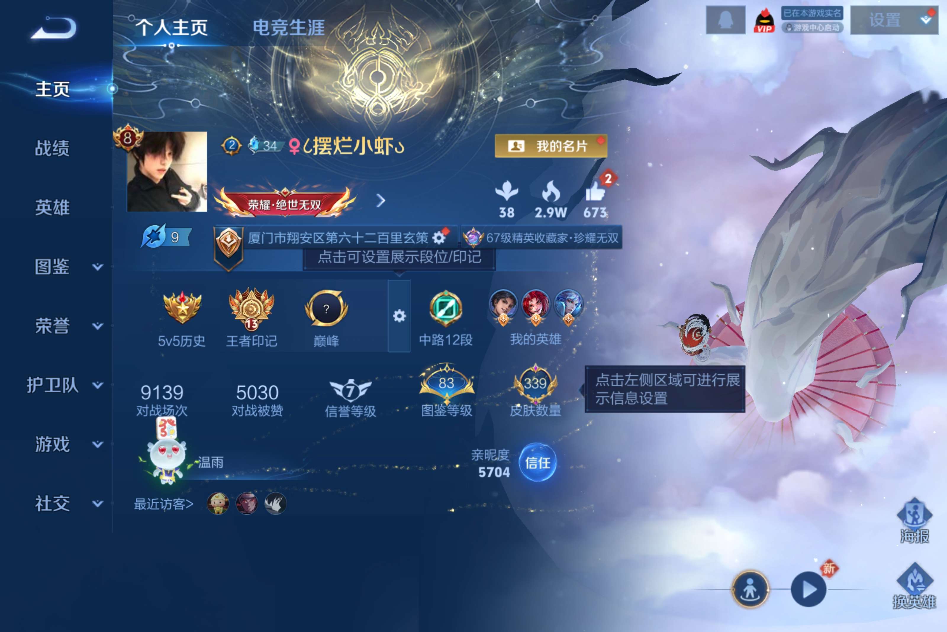 WZCMW4114112王者荣耀账号详情图13