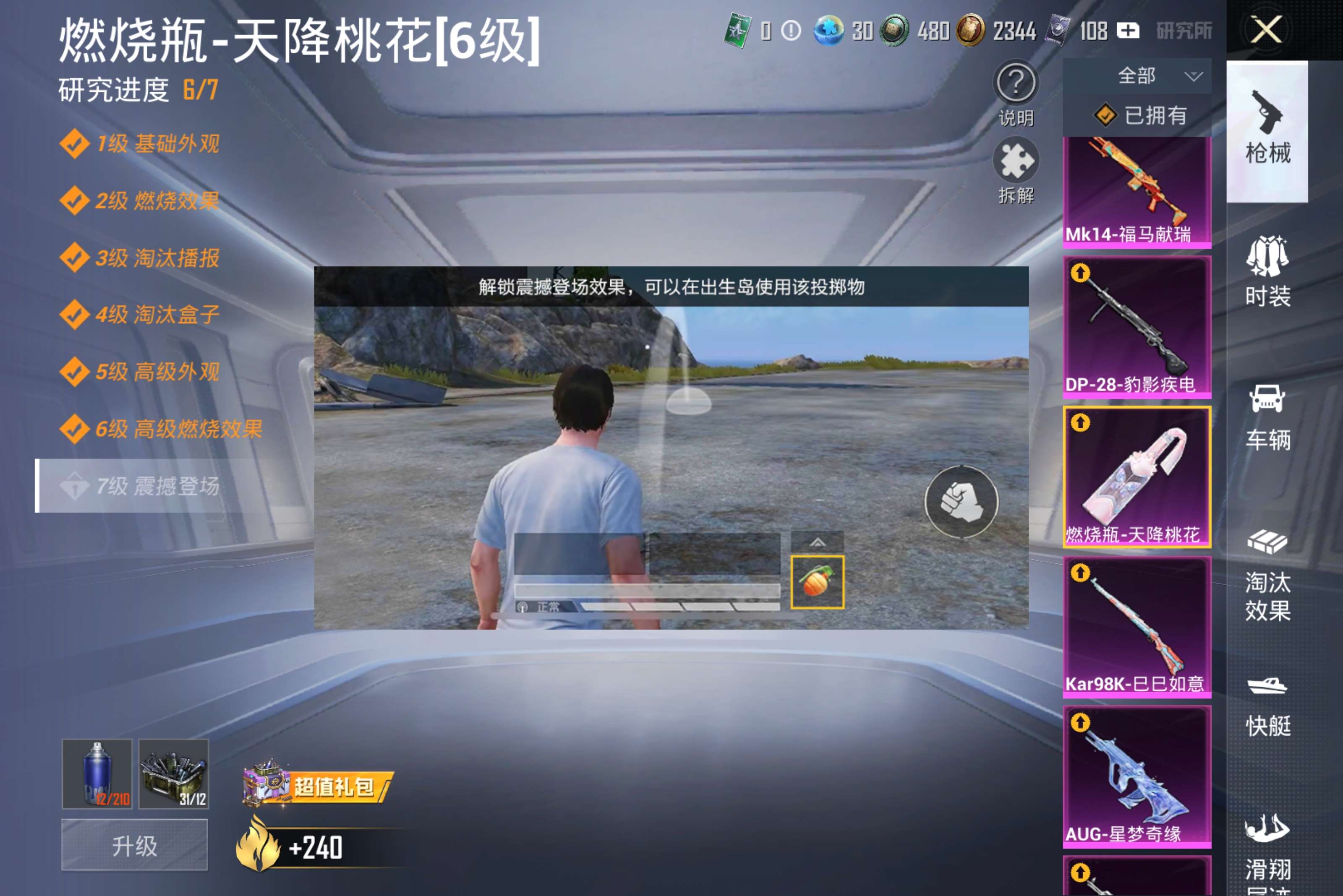 HPCMW4258199和平精英账号详情图23 HPCMW4258199和平精英账号详情图23