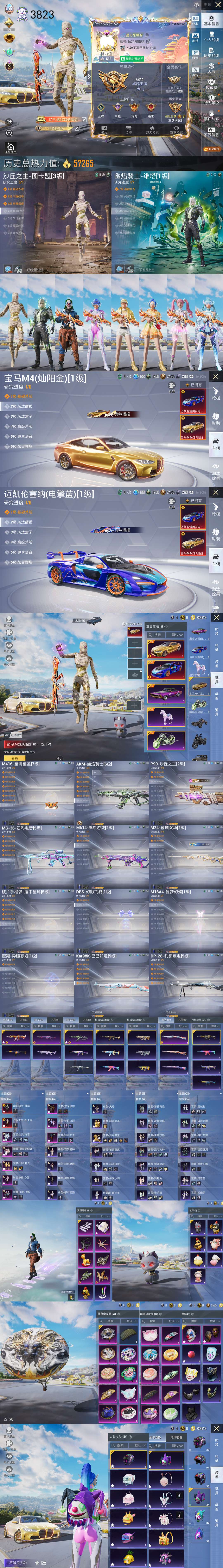 HPQM3358811和平精英账号详情图3 HPQM3358811和平精英账号详情图3