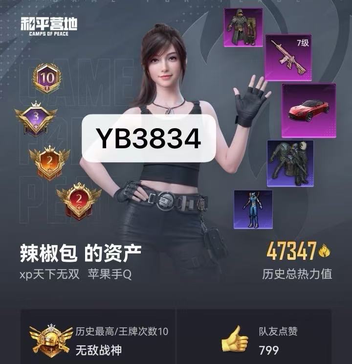 HPQM3411027和平精英账号详情图7 HPQM3411027和平精英账号详情图7