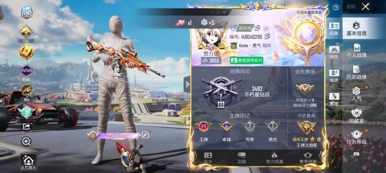 HPSJ3377546和平精英账号详情图2 HPSJ3377546和平精英账号详情图2