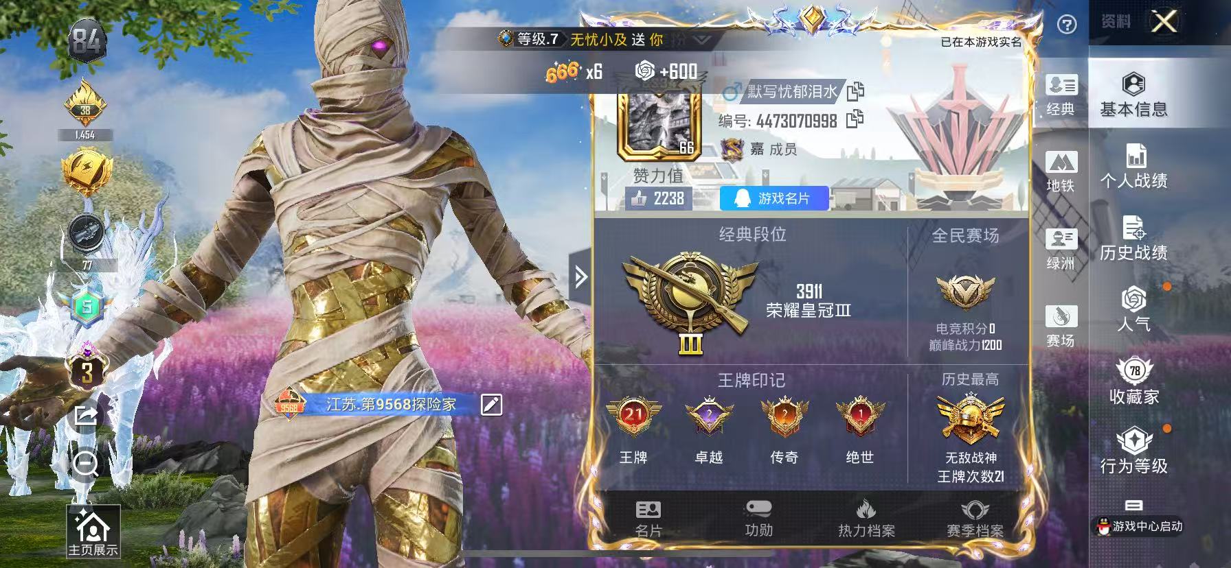 HPSJ3383823和平精英账号详情图2 HPSJ3383823和平精英账号详情图2