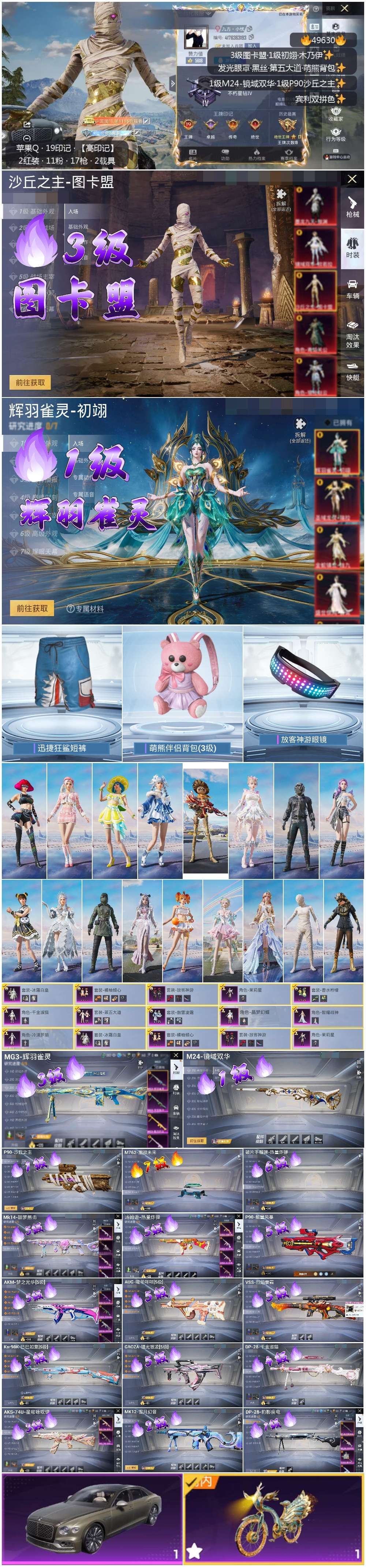 HPSJ3383869和平精英账号详情图4 HPSJ3383869和平精英账号详情图4