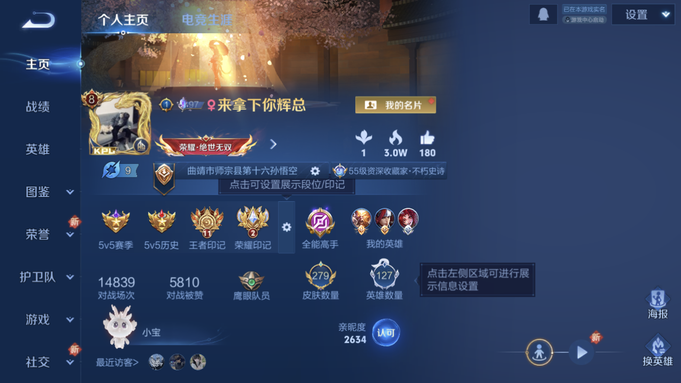 WZZM3367466王者荣耀账号详情图2