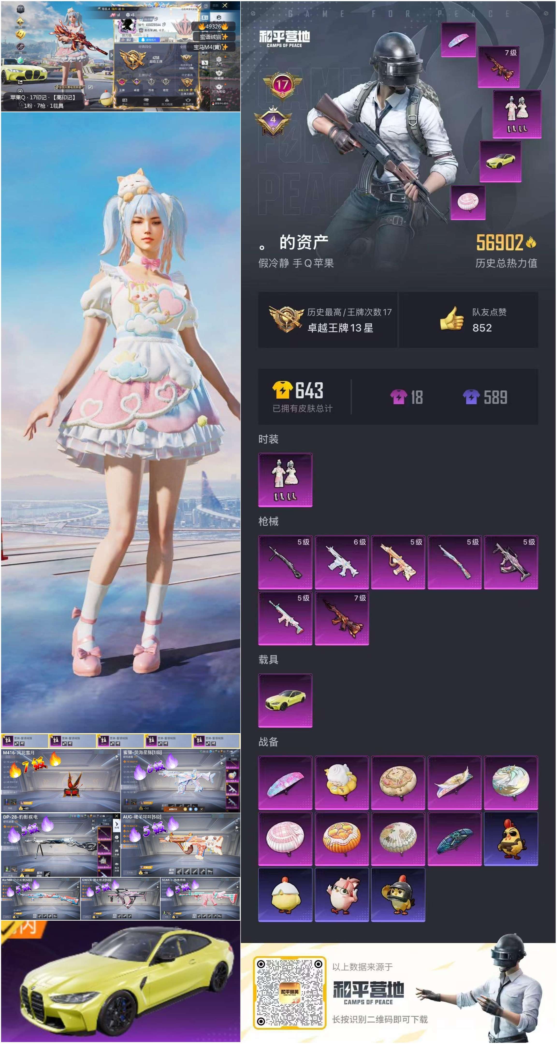 HPSJ3381244和平精英账号详情图2 HPSJ3381244和平精英账号详情图2