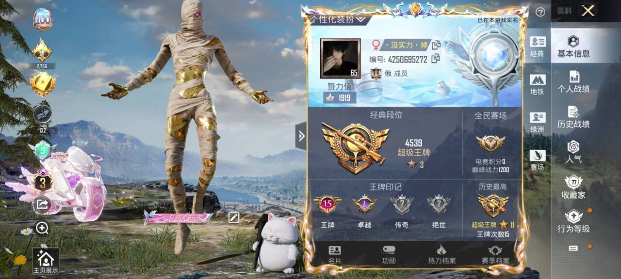 HPSJ3381241和平精英账号详情图2 HPSJ3381241和平精英账号详情图2