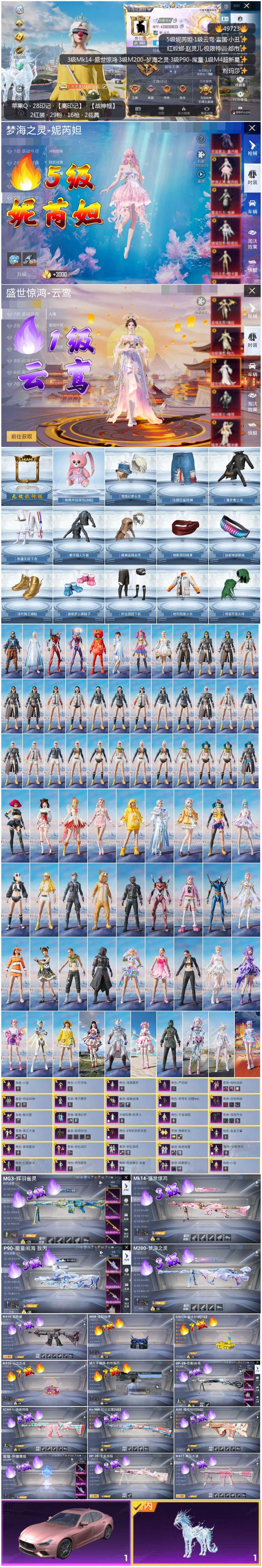 HPSJ3384461和平精英账号详情图3 HPSJ3384461和平精英账号详情图3