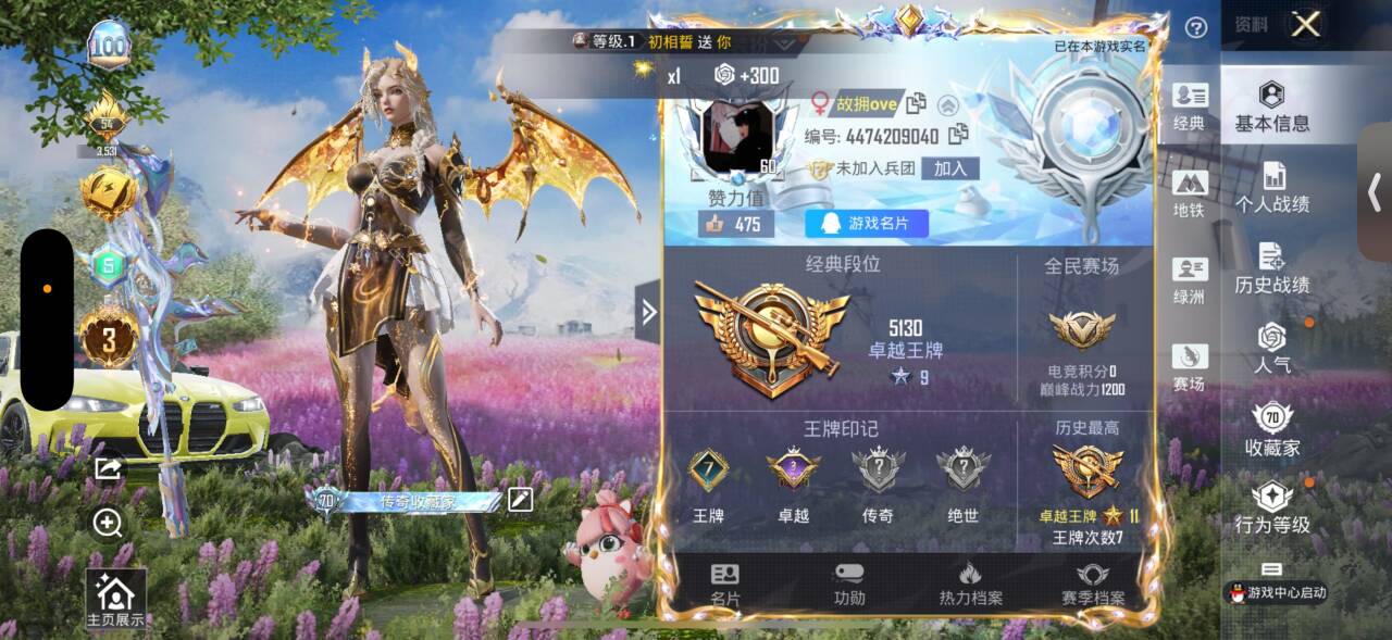 HPSJ3390059和平精英账号详情图2 HPSJ3390059和平精英账号详情图2