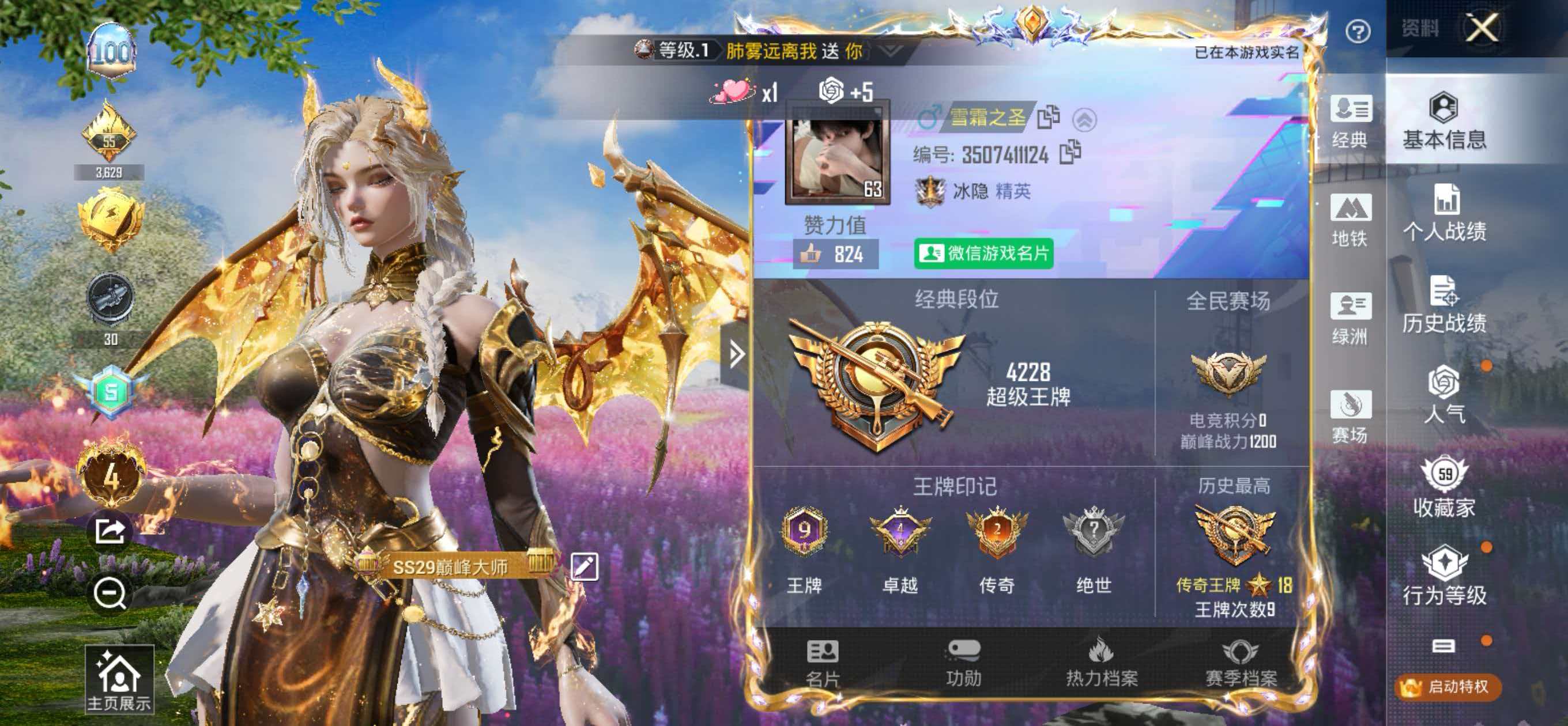 HPSJ3385555和平精英账号详情图2 HPSJ3385555和平精英账号详情图2