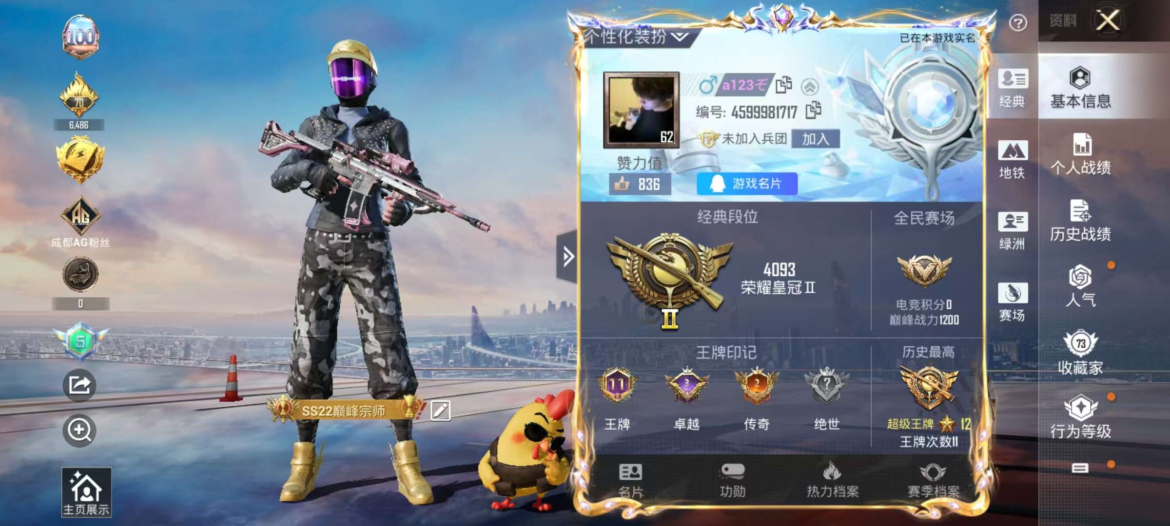 HPSJ3391513和平精英账号详情图2 HPSJ3391513和平精英账号详情图2