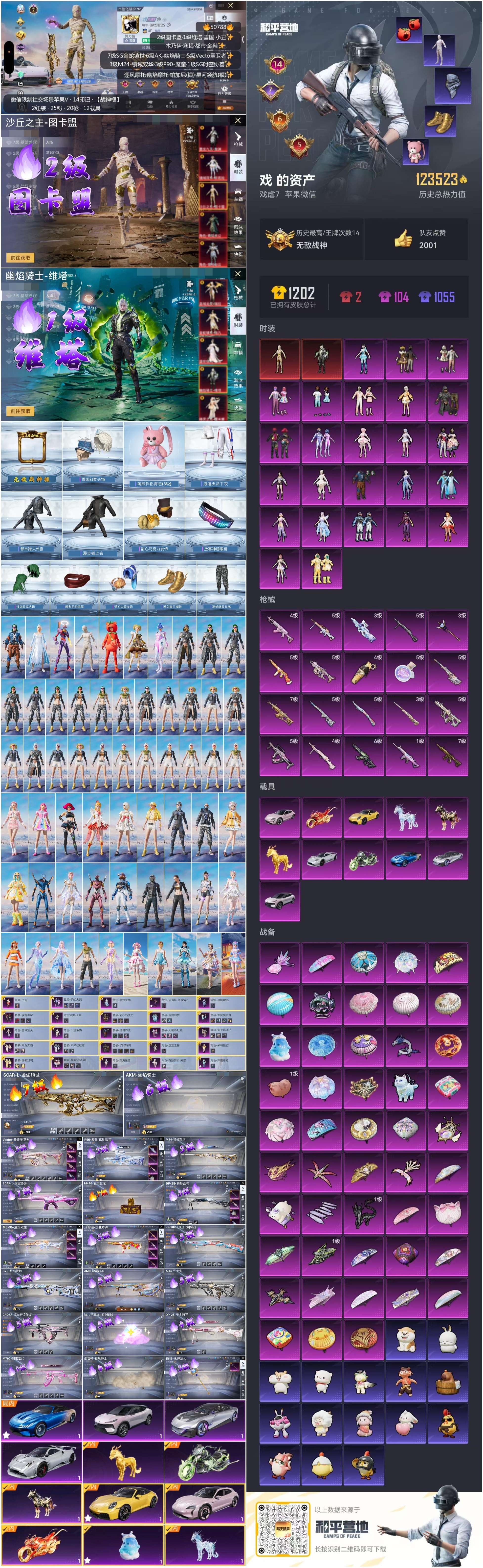 HPSJ3393243和平精英账号详情图5 HPSJ3393243和平精英账号详情图5