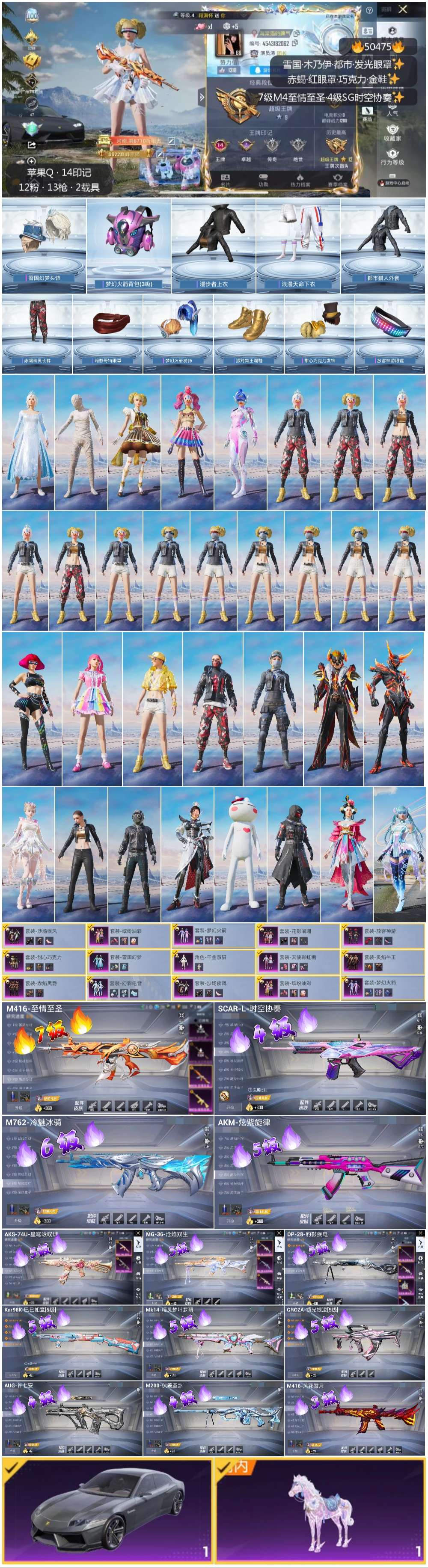 HPSJ3393130和平精英账号详情图5 HPSJ3393130和平精英账号详情图5