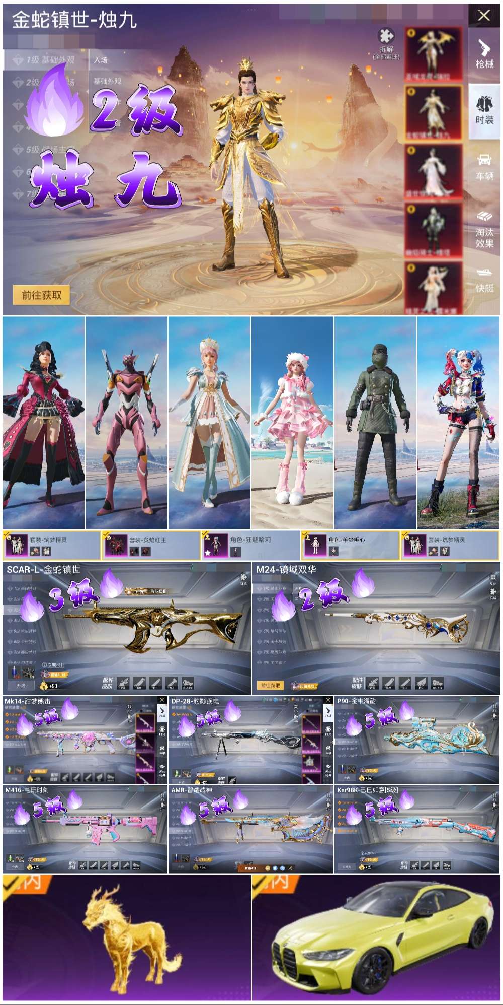 HPSJ3393146和平精英账号详情图5 HPSJ3393146和平精英账号详情图5