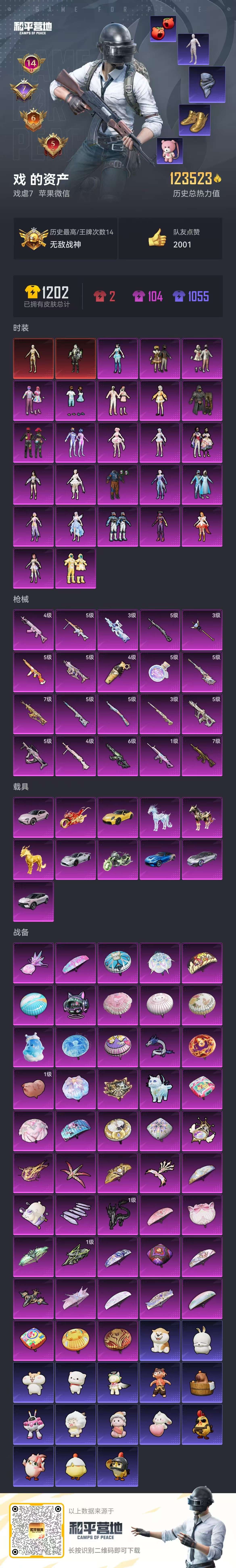 HPSJ3393243和平精英账号详情图4 HPSJ3393243和平精英账号详情图4