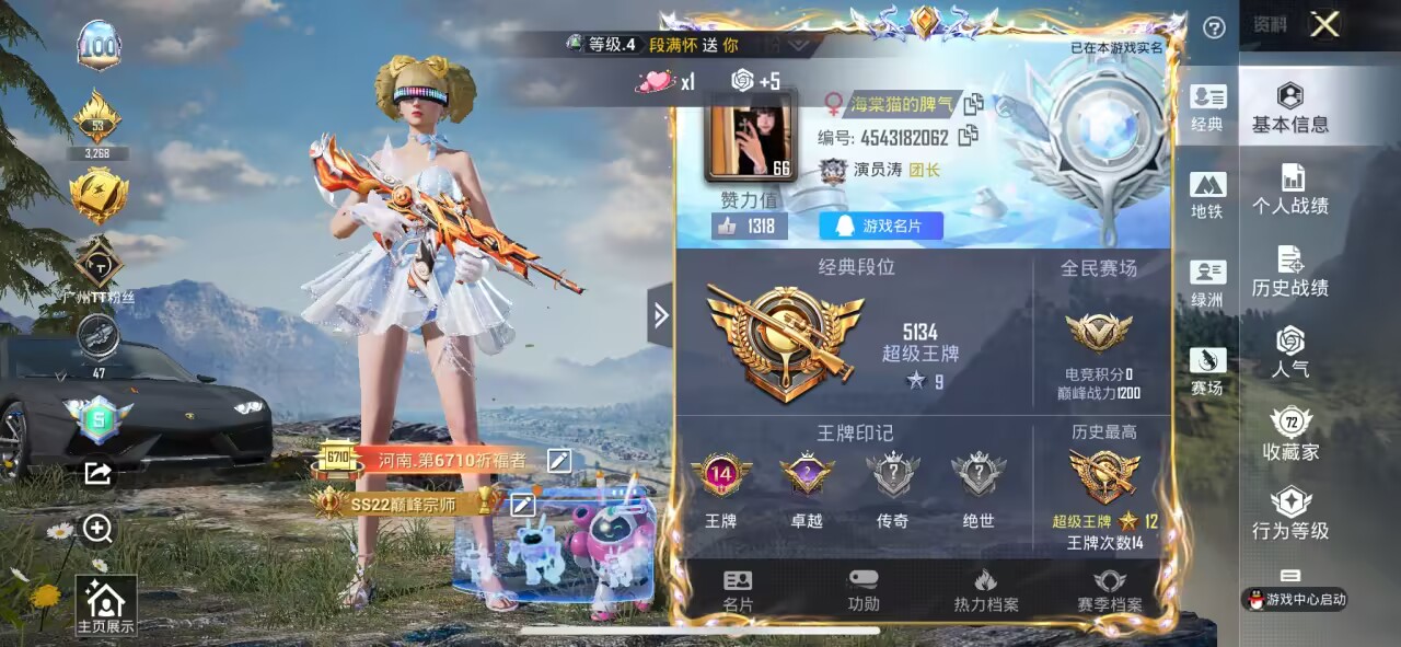 HPSJ3393130和平精英账号详情图3 HPSJ3393130和平精英账号详情图3