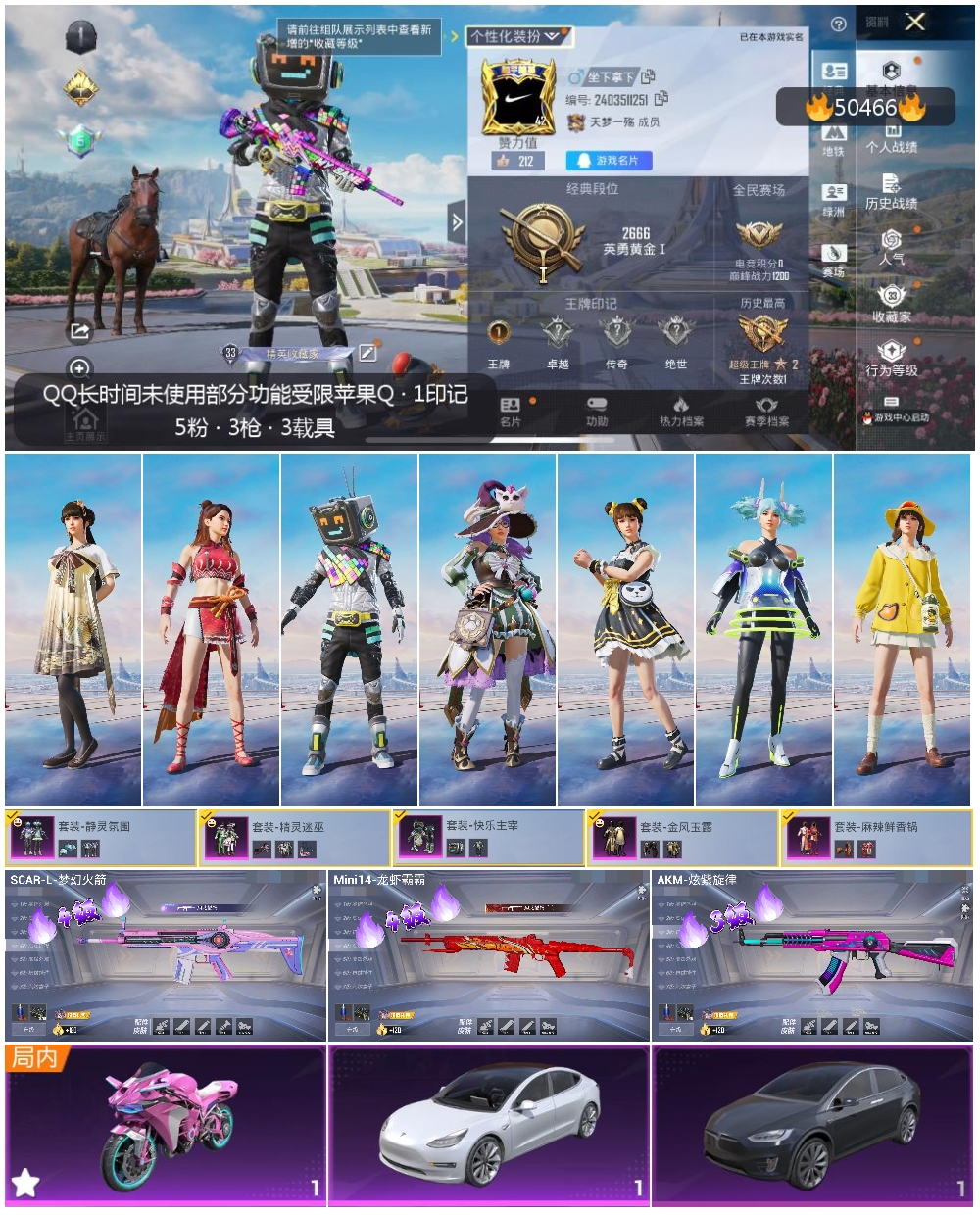 HPSJ3393171和平精英账号详情图5 HPSJ3393171和平精英账号详情图5