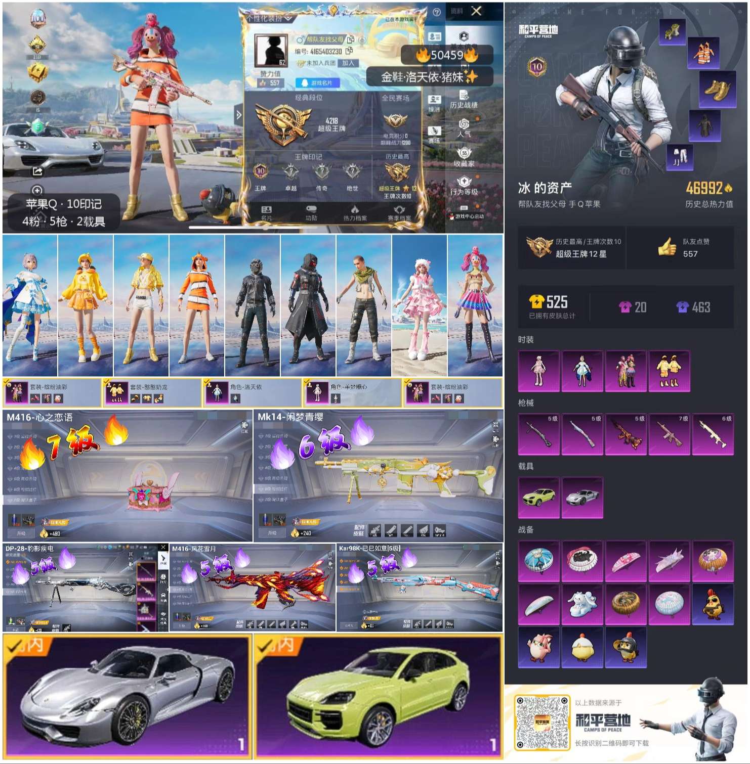 HPSJ3393289和平精英账号详情图5 HPSJ3393289和平精英账号详情图5