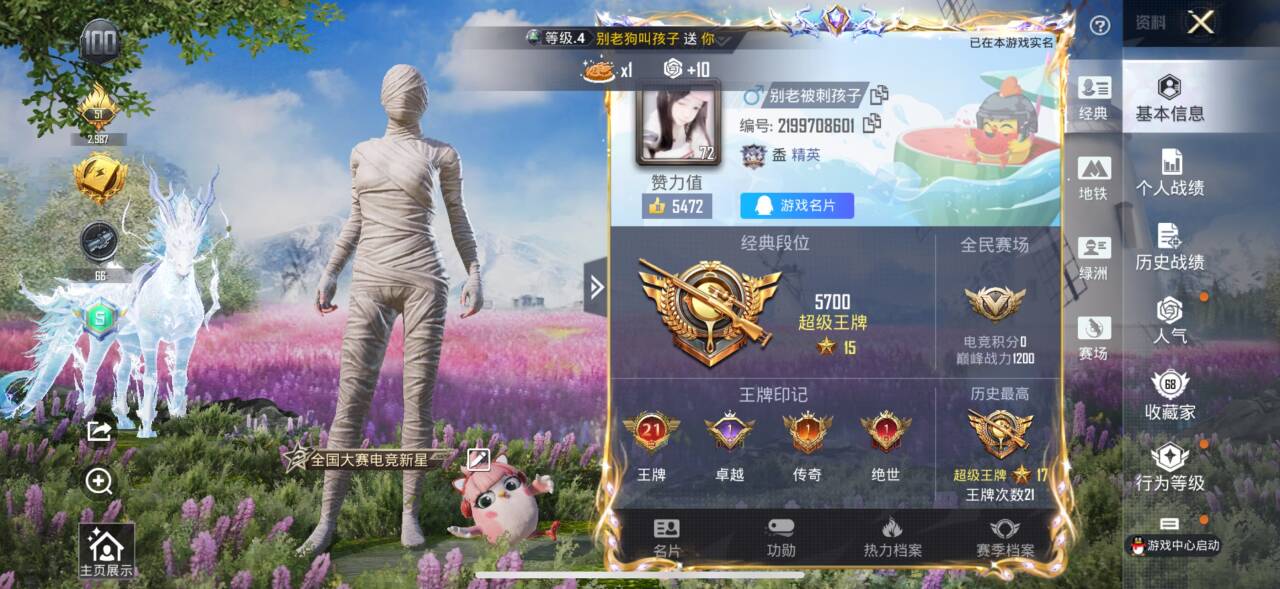 HPSJ3393163和平精英账号详情图2 HPSJ3393163和平精英账号详情图2