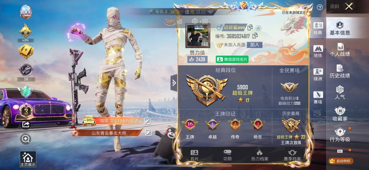 HPSJ3394518和平精英账号详情图5 HPSJ3394518和平精英账号详情图5