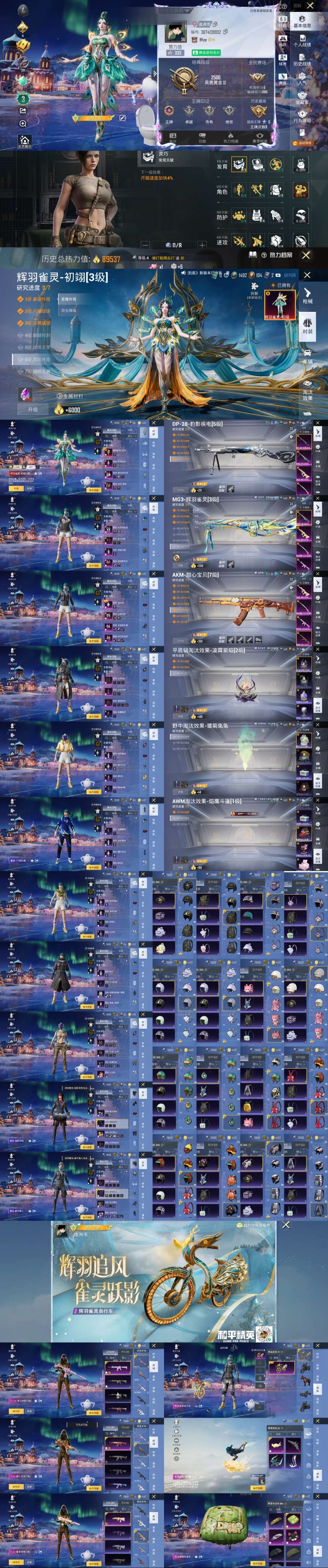 HPYD3347165和平精英账号详情图2 HPYD3347165和平精英账号详情图2