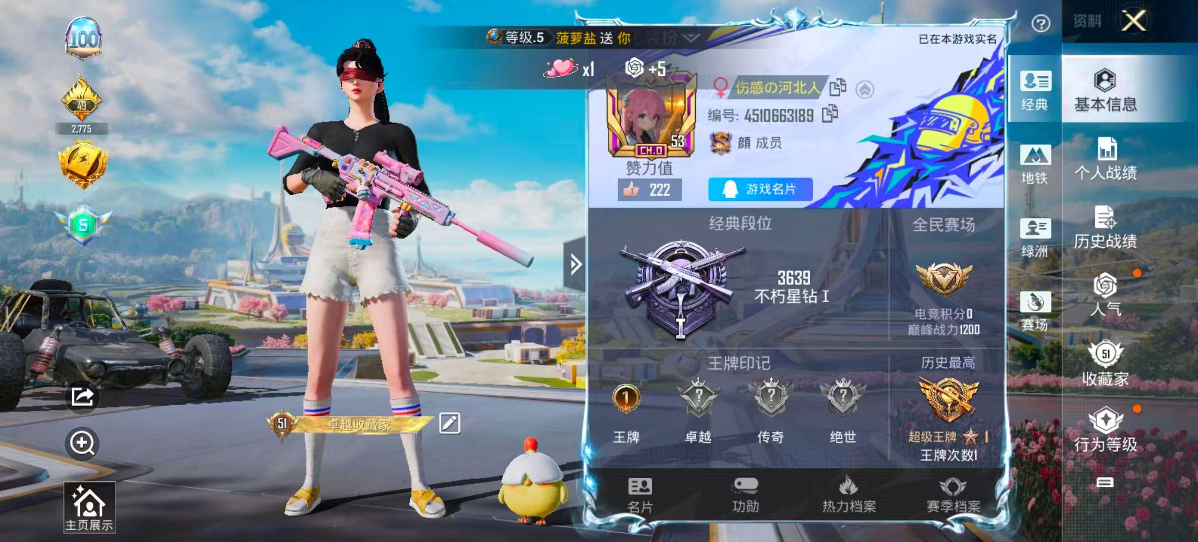 HPSJ3396384和平精英账号详情图3 HPSJ3396384和平精英账号详情图3