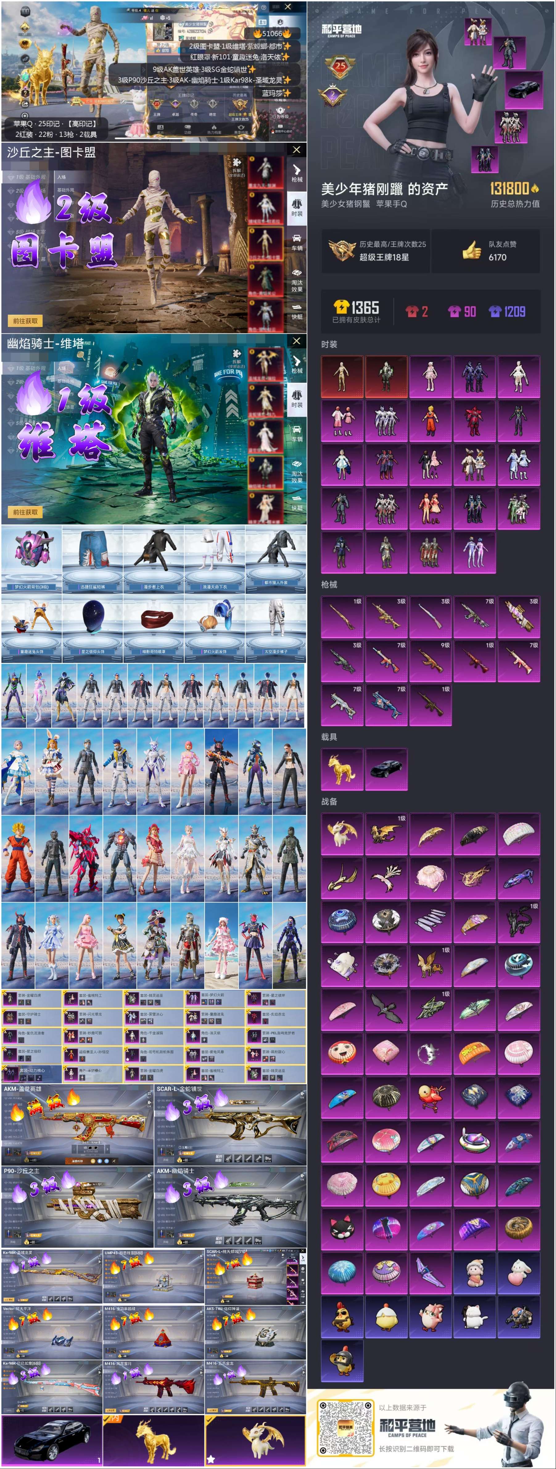 HPSJ3400541和平精英账号详情图3 HPSJ3400541和平精英账号详情图3