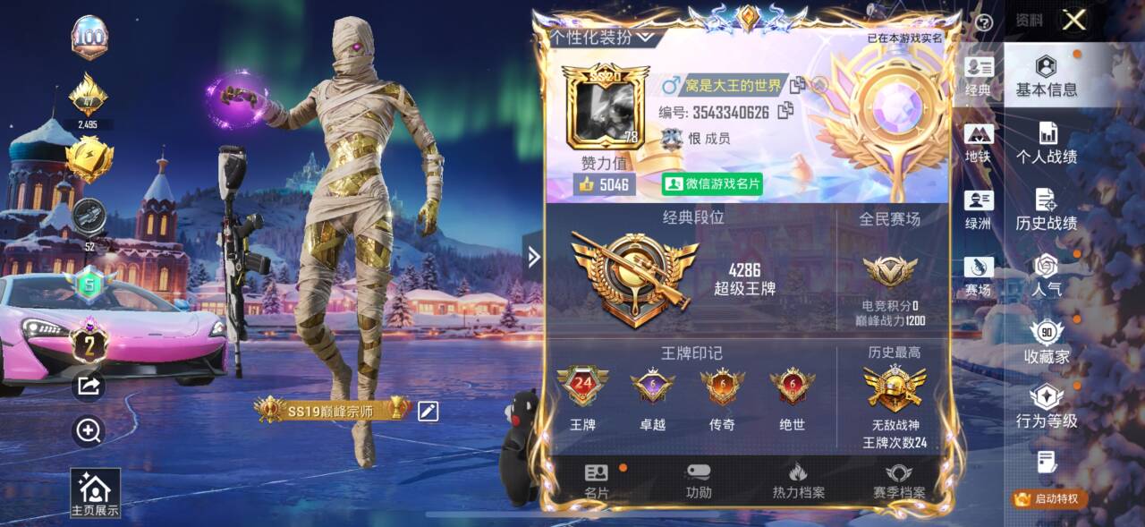 HPSJ3397485和平精英账号详情图2 HPSJ3397485和平精英账号详情图2