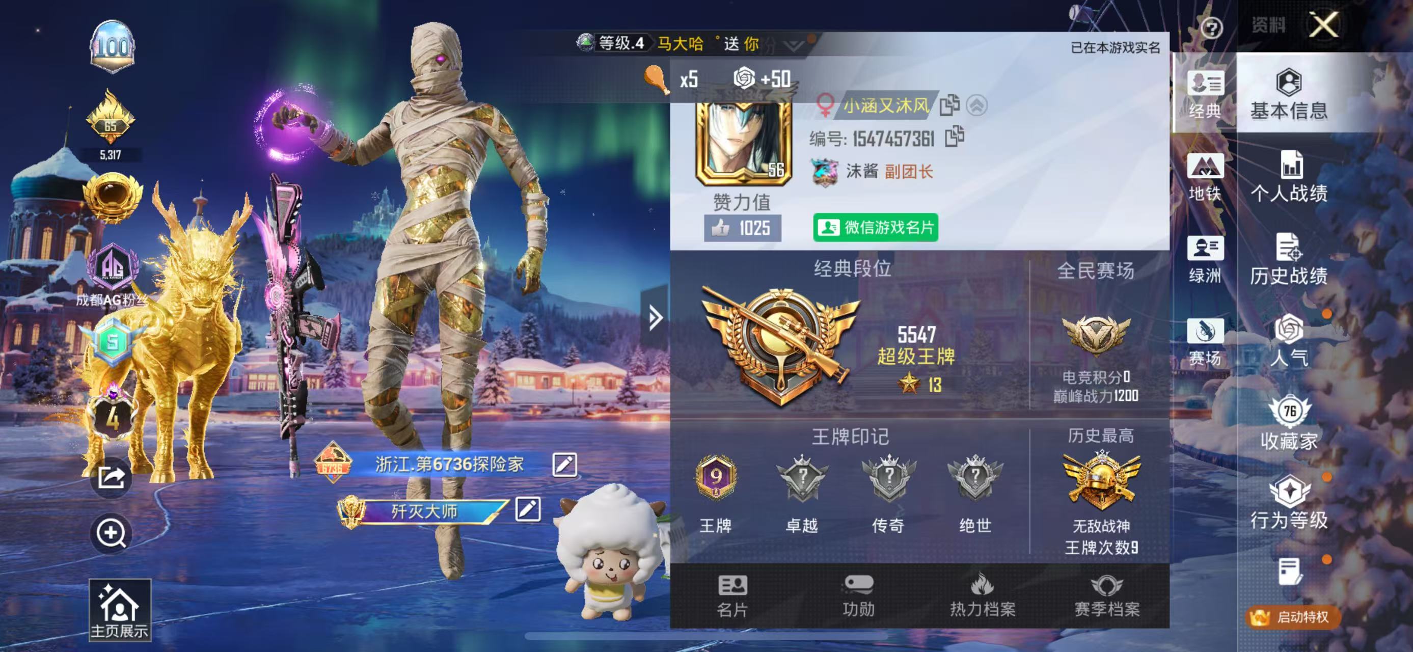 HPSJ3398405和平精英账号详情图2 HPSJ3398405和平精英账号详情图2