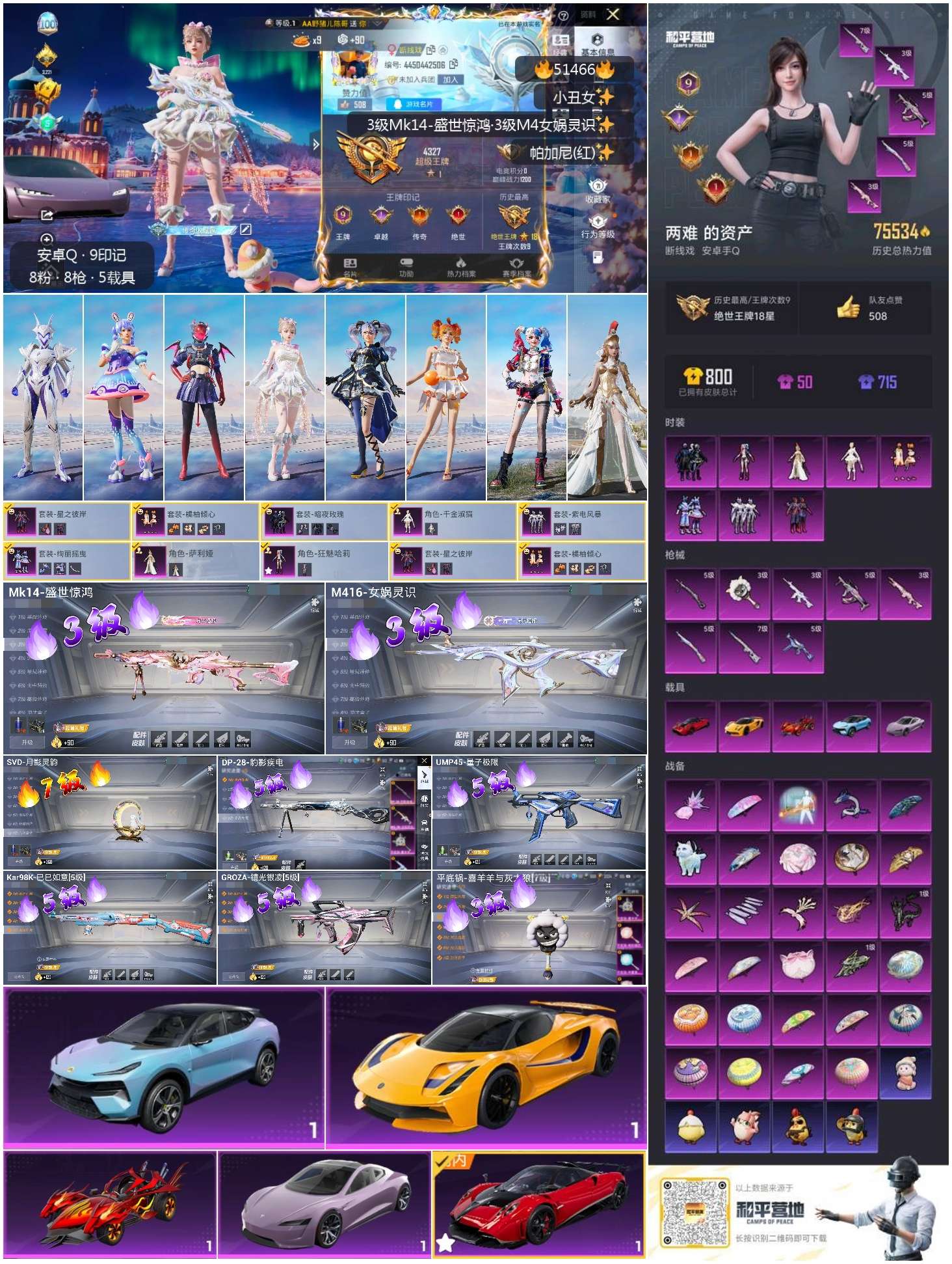 HPSJ3404952和平精英账号详情图3 HPSJ3404952和平精英账号详情图3