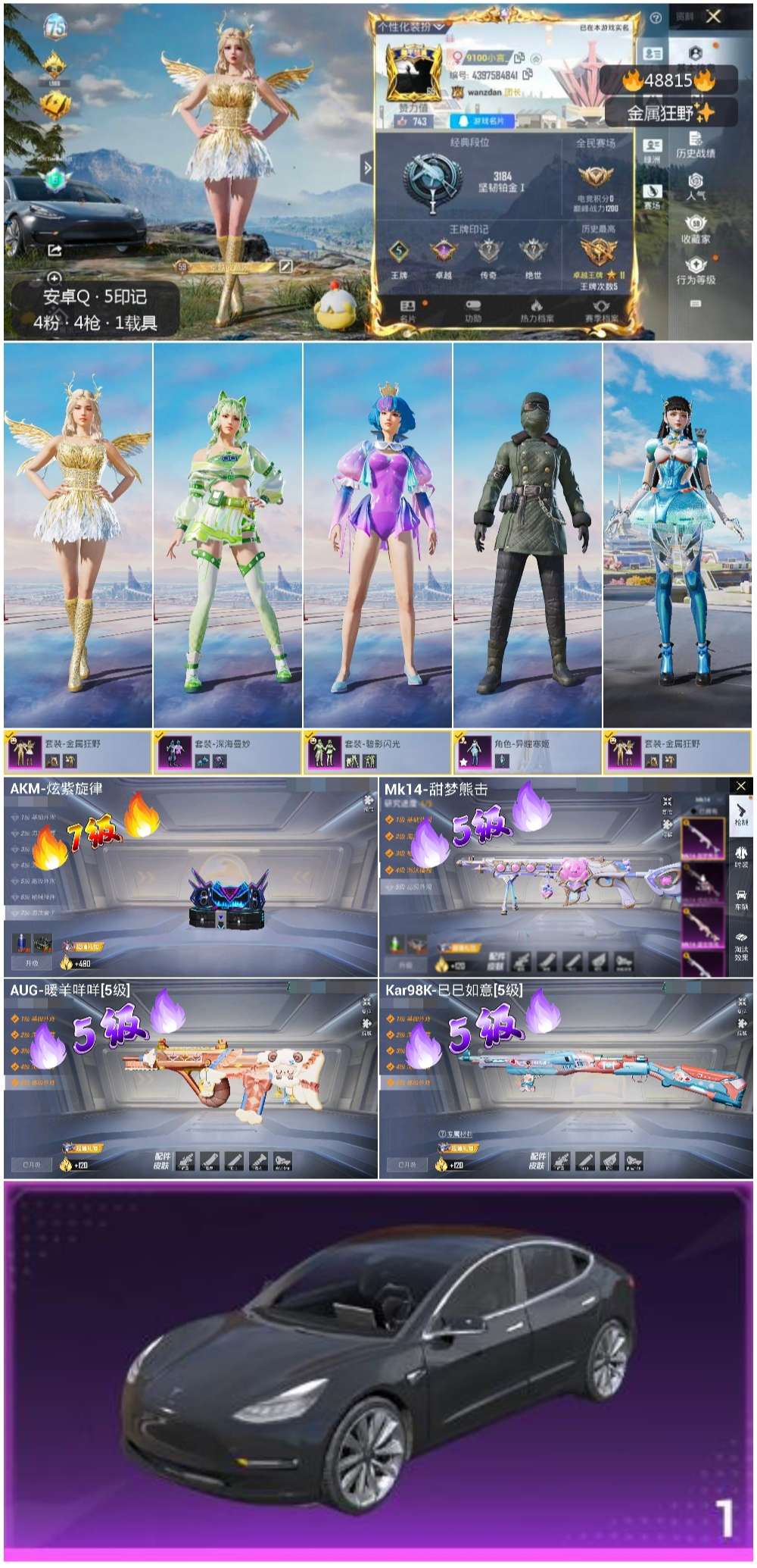 HPSJ3371571和平精英账号详情图3 HPSJ3371571和平精英账号详情图3