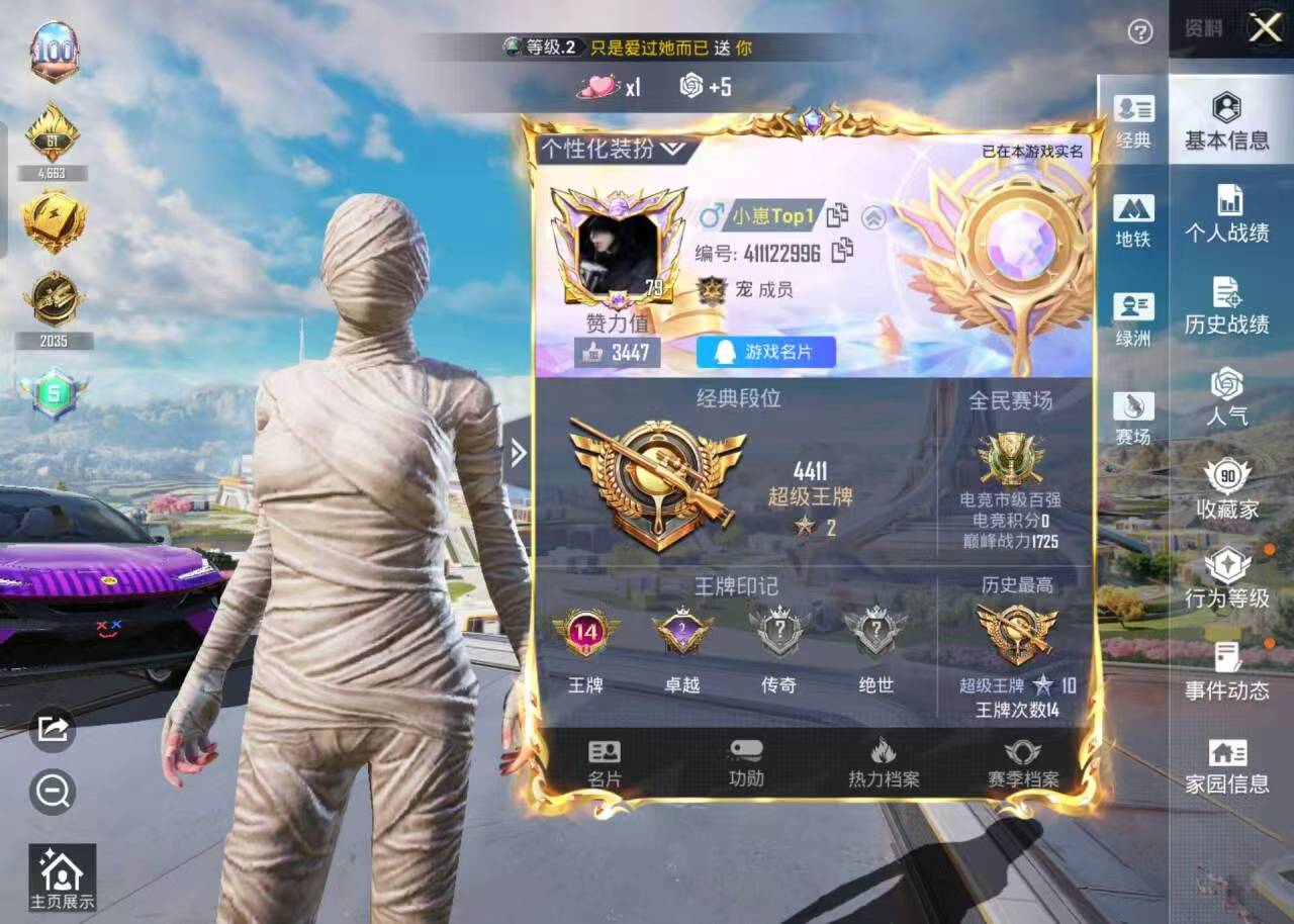 HPSJ3376571和平精英账号详情图2 HPSJ3376571和平精英账号详情图2