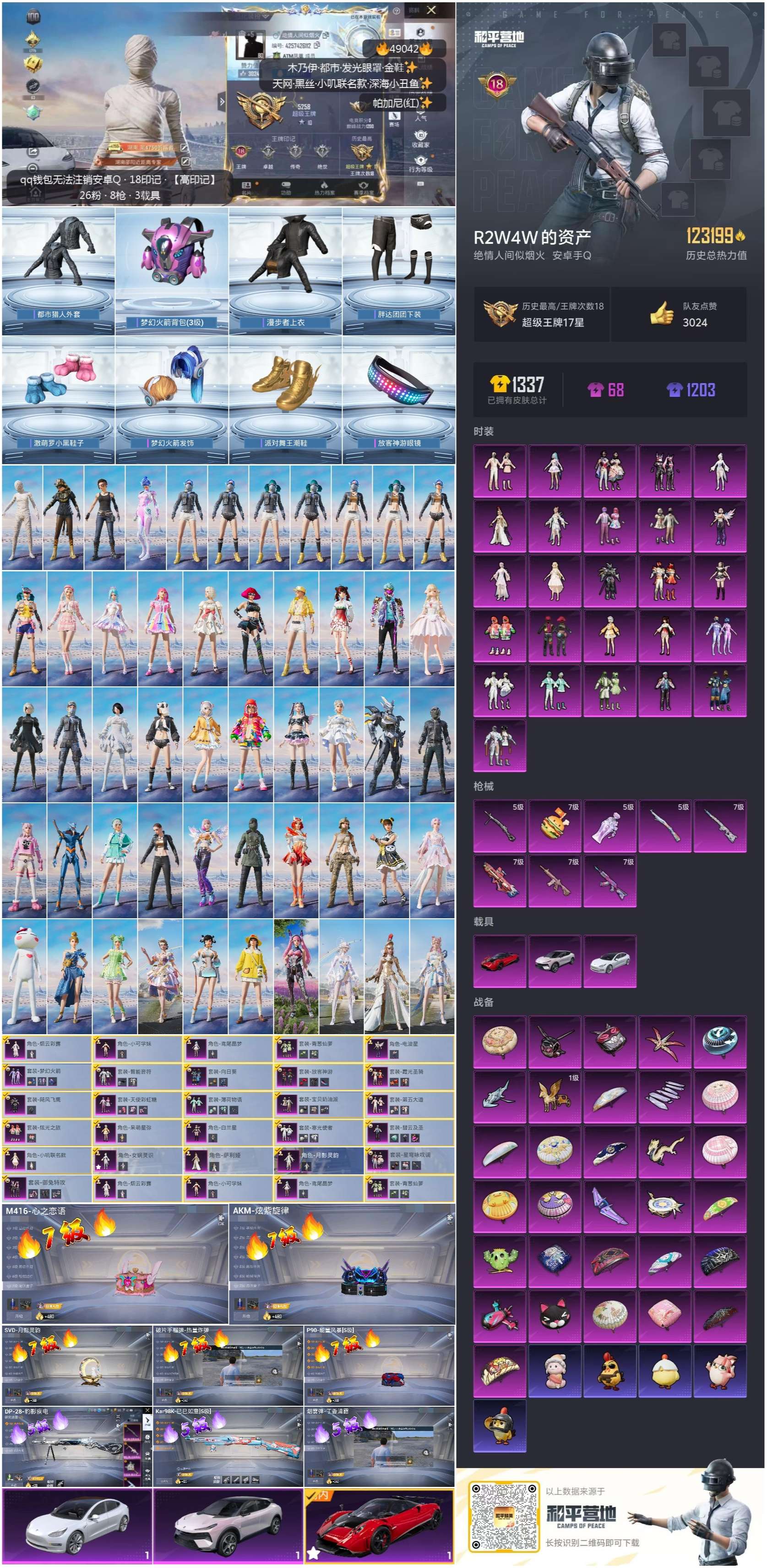 HPSJ3377383和平精英账号详情图4 HPSJ3377383和平精英账号详情图4