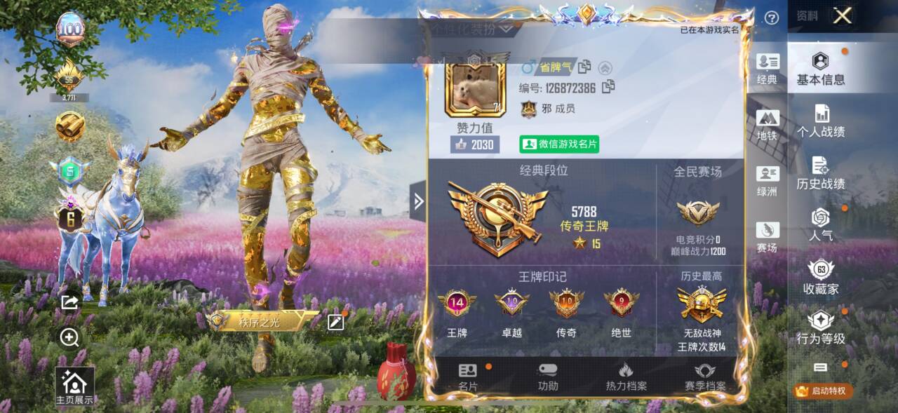 HPSJ3374137和平精英账号详情图3 HPSJ3374137和平精英账号详情图3