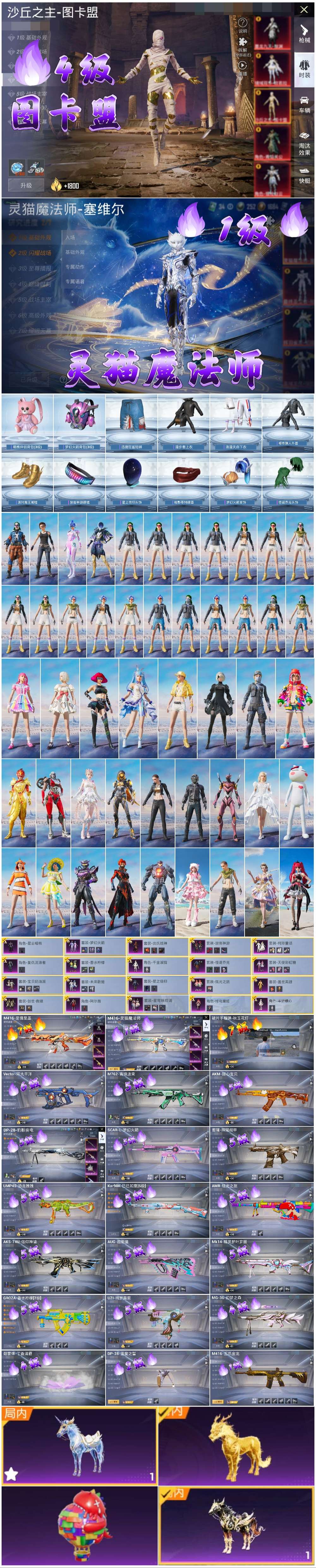 HPSJ3404257和平精英账号详情图5 HPSJ3404257和平精英账号详情图5