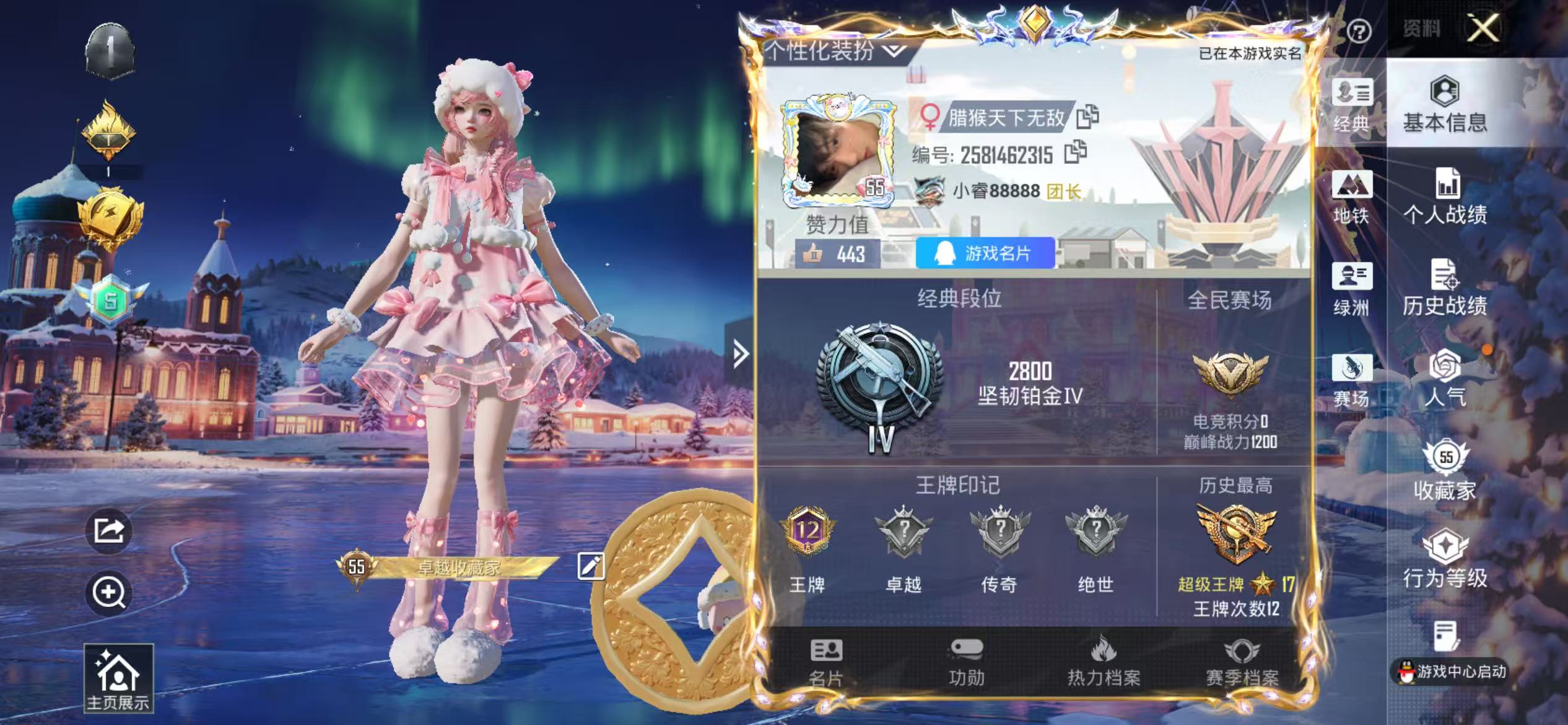 HPSJ3408191和平精英账号详情图5 HPSJ3408191和平精英账号详情图5