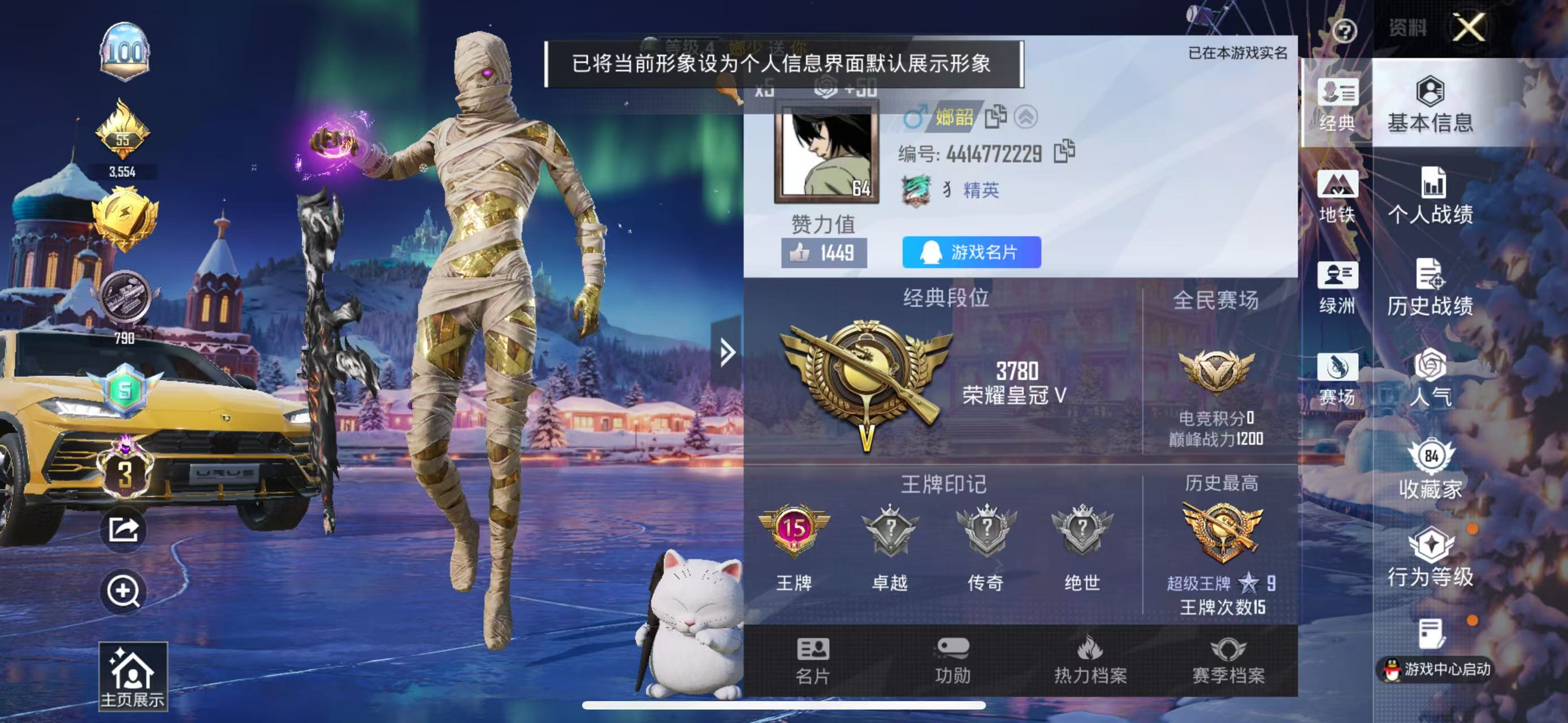 HPSJ3404105和平精英账号详情图2