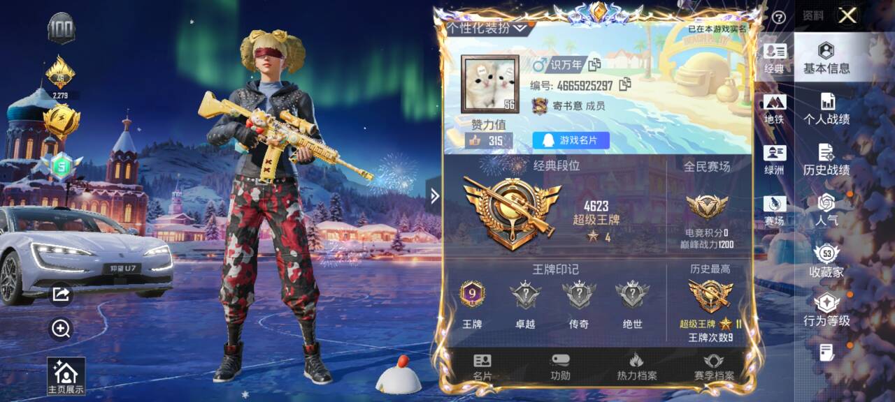 HPSJ3404209和平精英账号详情图2 HPSJ3404209和平精英账号详情图2