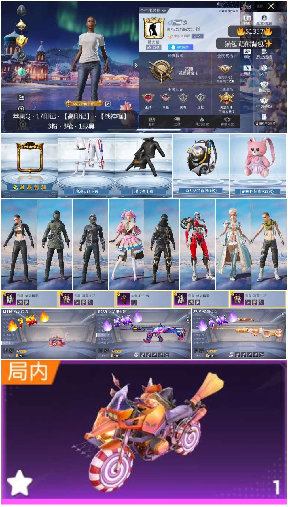 HPSJ3404117和平精英账号详情图5 HPSJ3404117和平精英账号详情图5