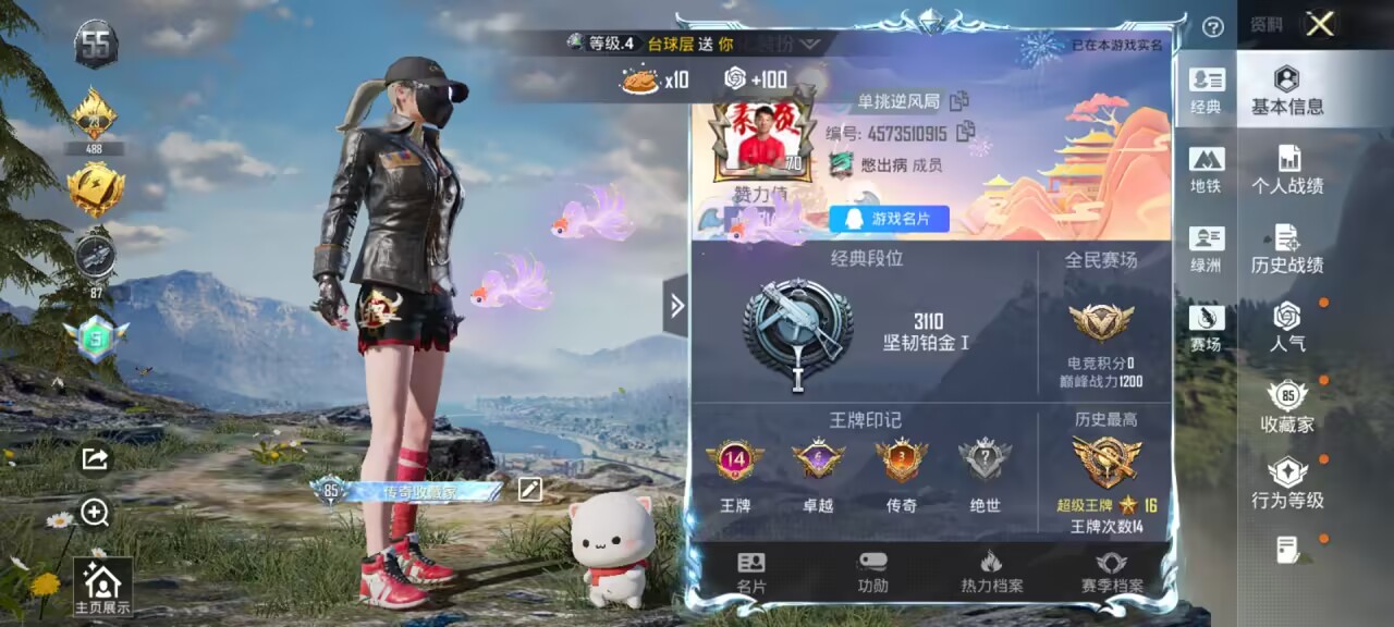 HPSJ3426980和平精英账号详情图3