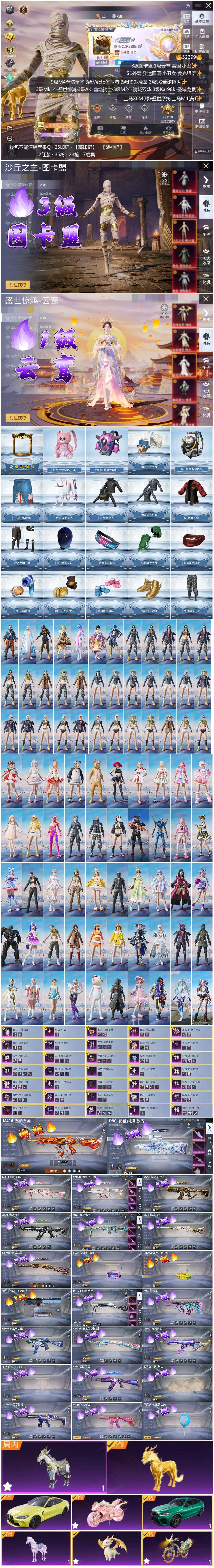 HPSJ3420891和平精英账号详情图3 HPSJ3420891和平精英账号详情图3