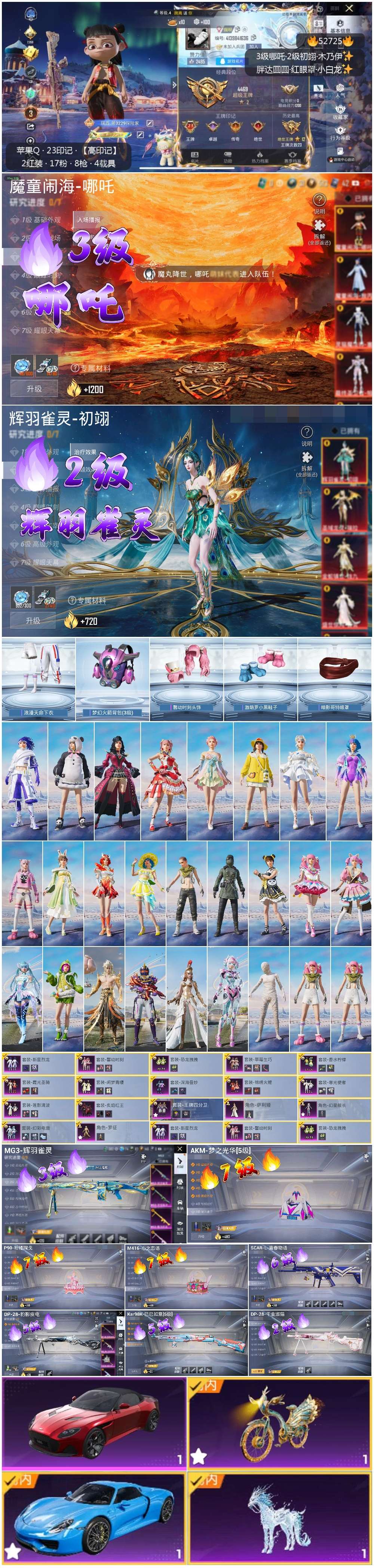 HPSJ3430428和平精英账号详情图2 HPSJ3430428和平精英账号详情图2